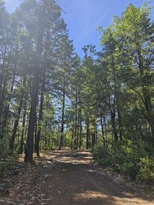 1050 Lone Mountain Rd, O Brien, OR, 97534