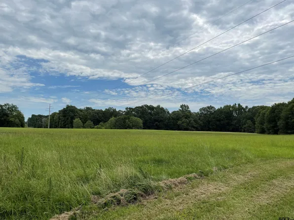 Fm 773, Murchison, TX 75778