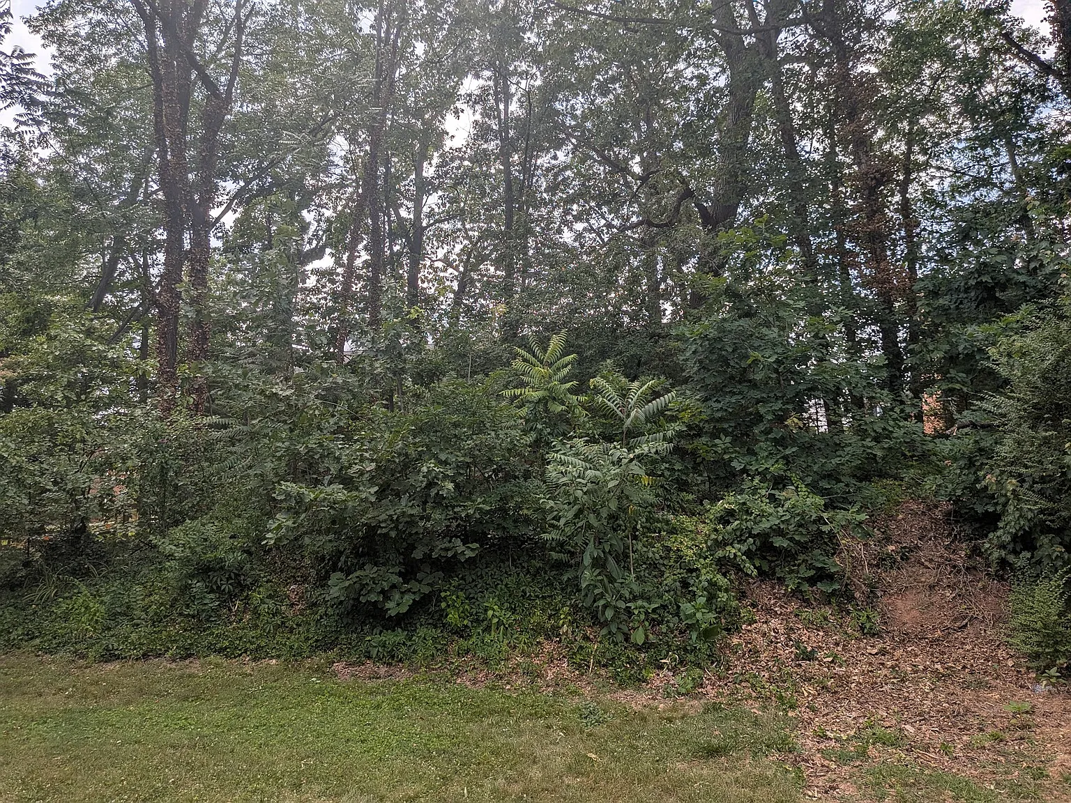 4 bed, 2241 sqft, $3,100 — Photo 3