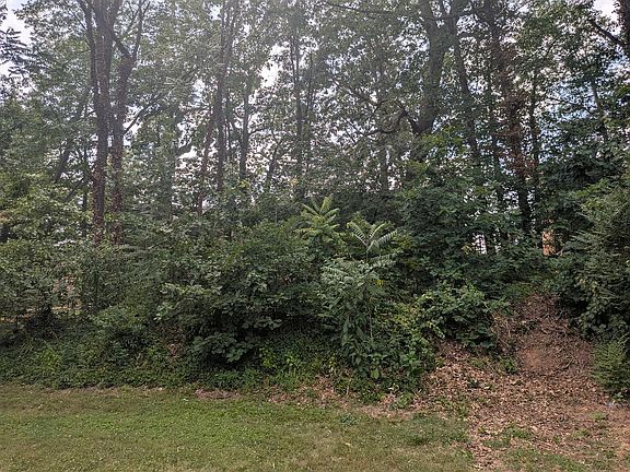 3rd image of 125 W Park Dr