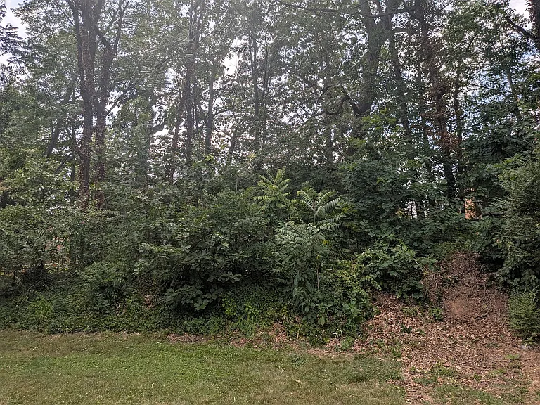 125 W Park Dr — Photo 3