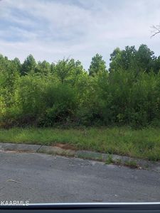 Coyote Cir, Vonore, TN, 37885