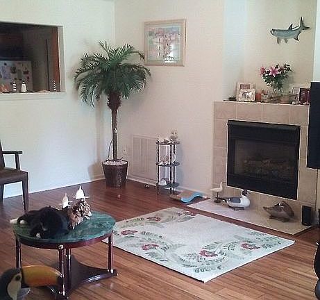 living room from entrance