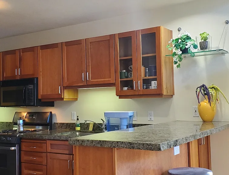 281 Clara St — Photo 17