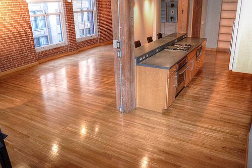 5th image of 507 N 13th St APT 503