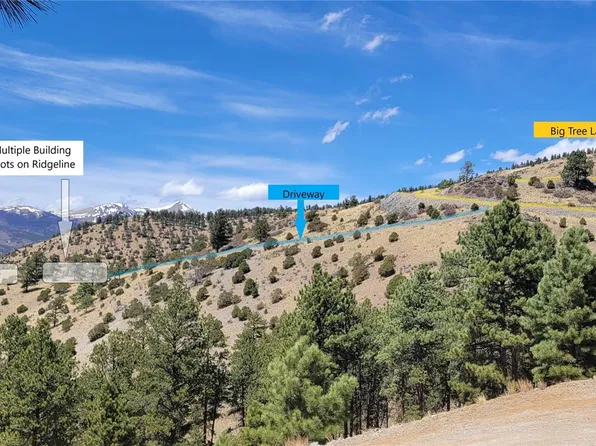 5 Elk Horn Ranch LOT 5, Villa Grove, CO 81155