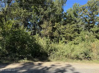 132 Alex Seal Ln, Brandon, MS 39042