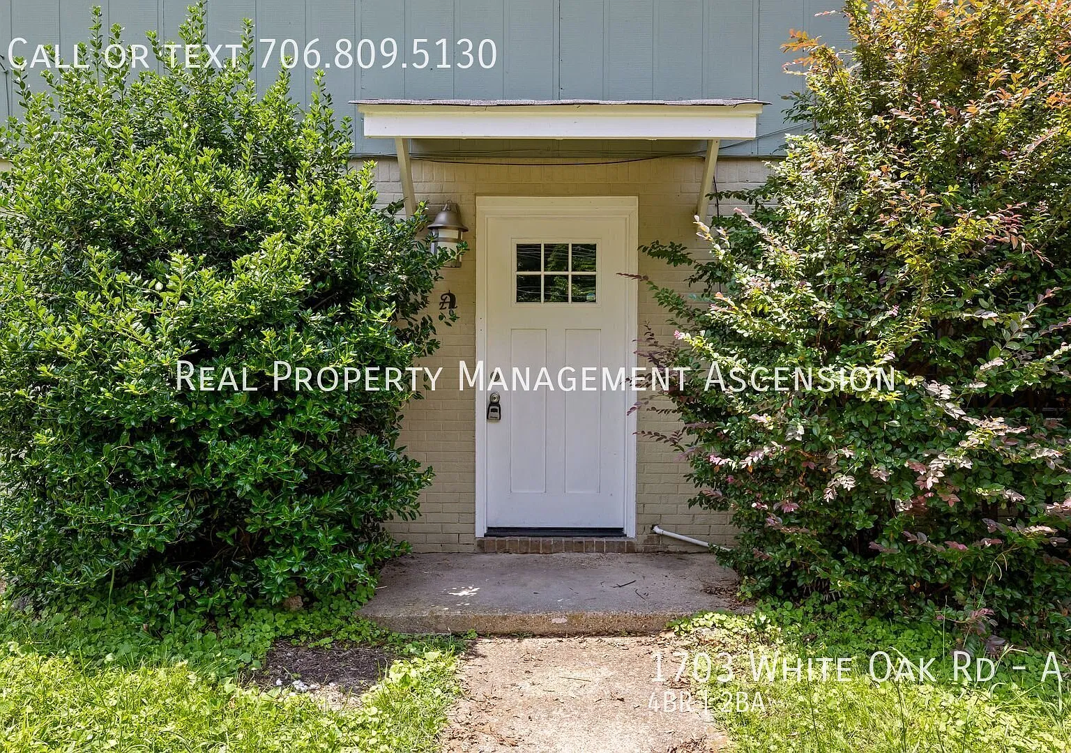 Modern 4 Bed, 2 Bath in North Shore Chattanooga — Photo 3