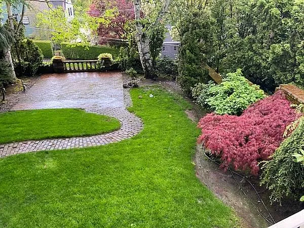 Backyard below deck