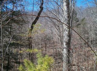 0 Lick Branch Rd, Maysel, WV 25133