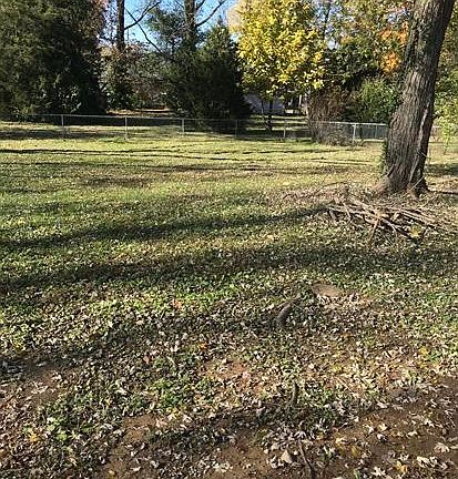 2nd image of 13414 Hinchbrook Blvd