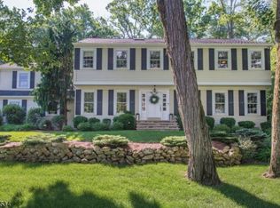 16 Meadowbrook Rd, Randolph, NJ 07869