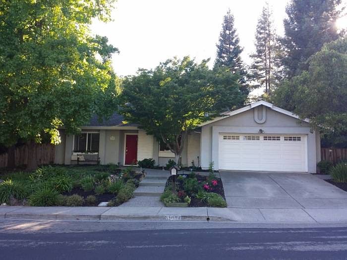 Popular San Lucas Model