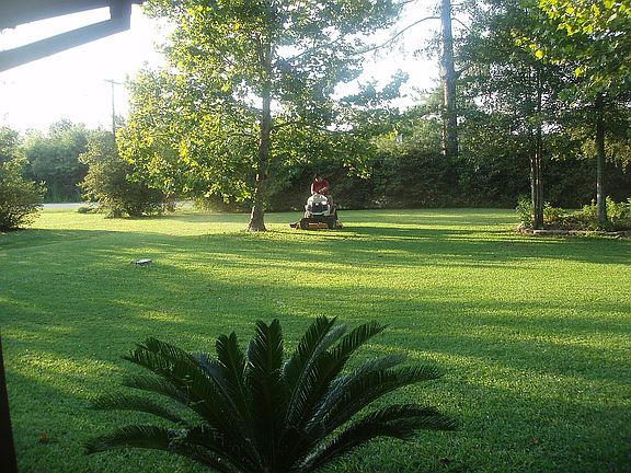 Front Yard