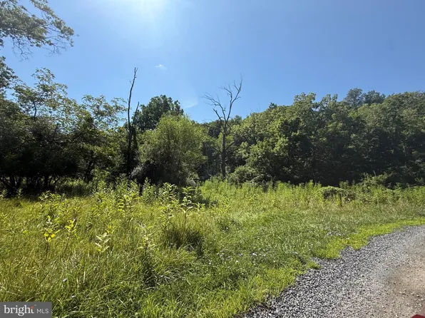 Forgotten Ln, Clear Brook, VA 22624