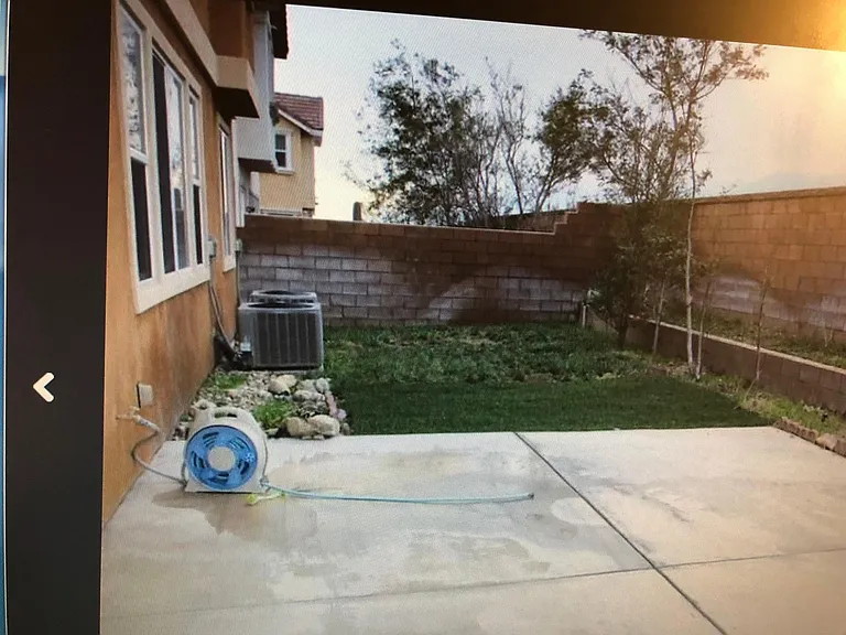back yard
