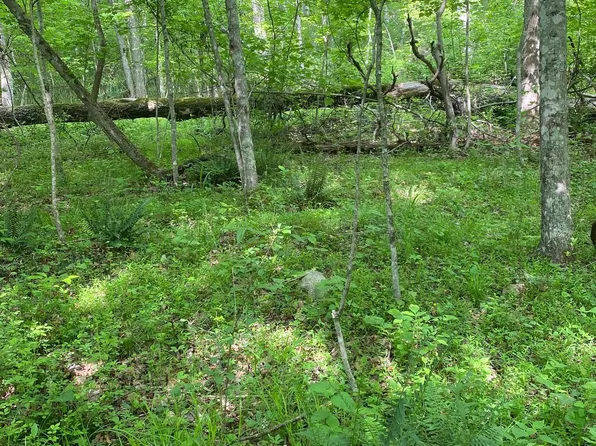 0 Mineshaft Ln, Fort Valley, VA 22652