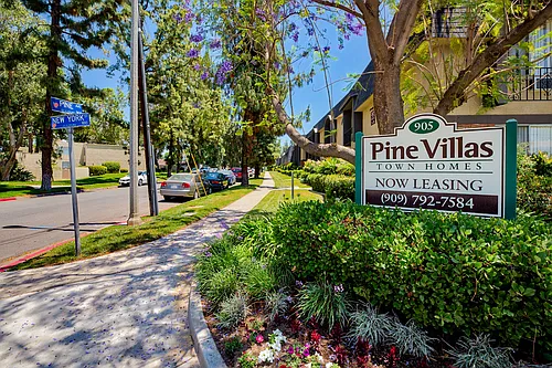 Pine Villas Photo 1