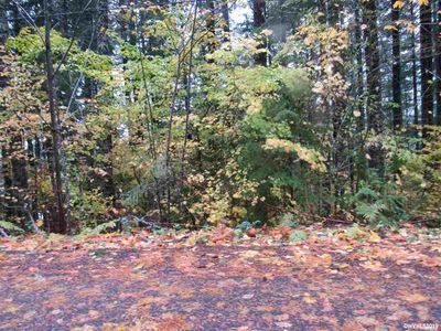 305 N Butte St Lot 48, Detroit, OR, 97342