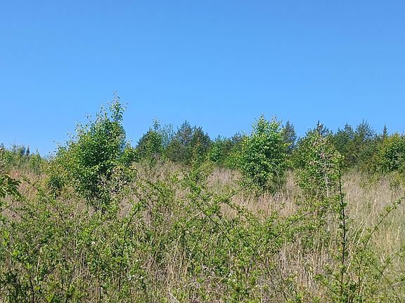 4th image of 240 County Road 564