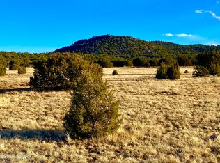 9 County Road 3043, Concho, AZ 85924