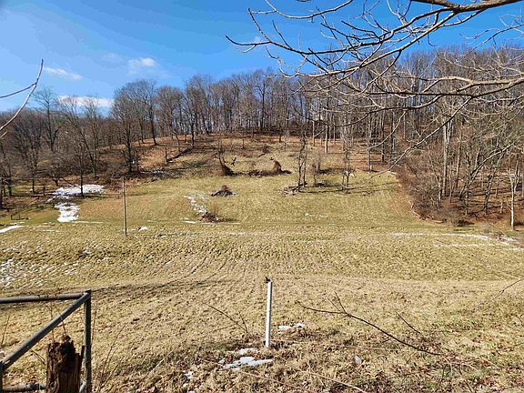 5th image of Old Davidson Run