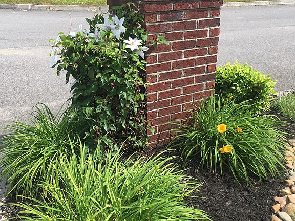 4th image of 900 Paxton Dr