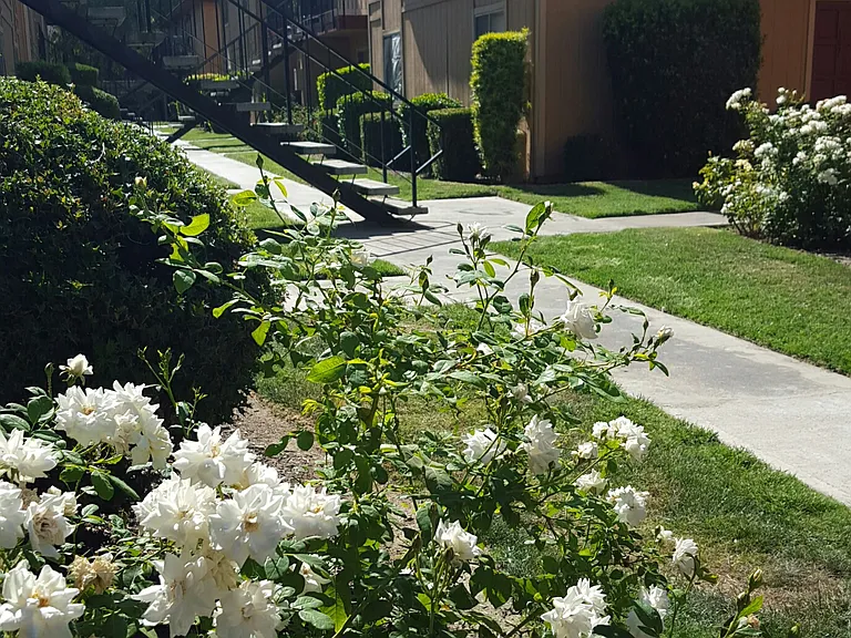 VICTORIA PARK APARTMENTS — Photo 4