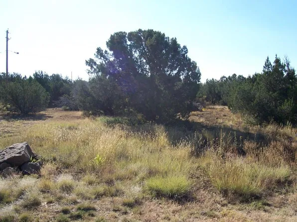 1905 Ponce Pl, Show Low, AZ 85901