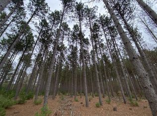 LOT 11 Beaver Ave, Hancock, WI 54943