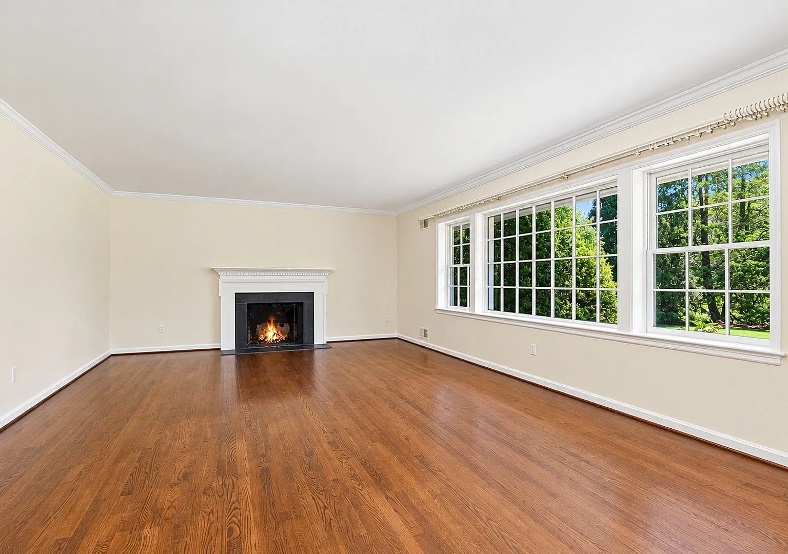 3 Bed 3 Bath - Potomac Falls Rambler - Lawn care included — Photo 4