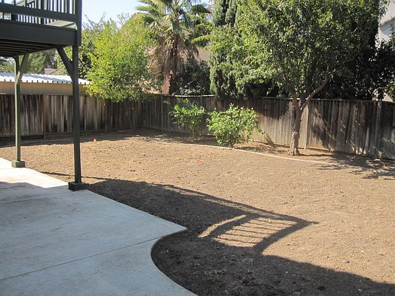 Backyard 1