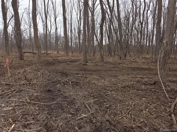 PARCEL Cullen Rd #B, Hartland, MI 48353