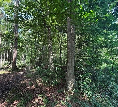 5th image of Syler Rd Lot 78