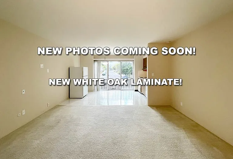 431 Dinahs Ct — Photo 3