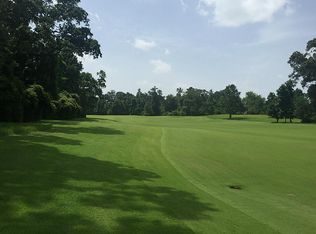 231 S Fazio Ct, The Woodlands, TX 77389