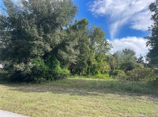 18322 Great Blue Heron Dr #19, Groveland, FL 34736