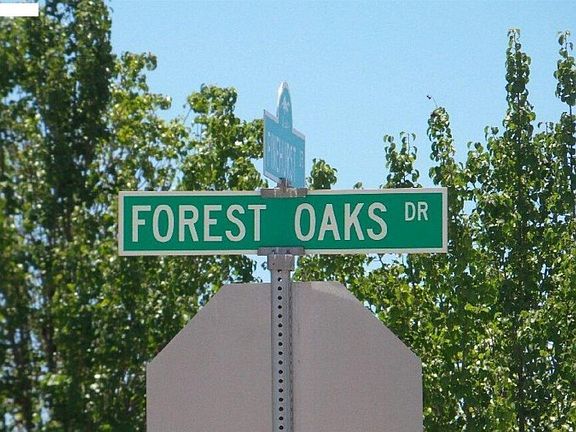 5th image of 34242 Forest Oaks Dr