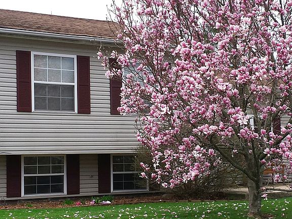 4th image of 1852 Shasta Dr