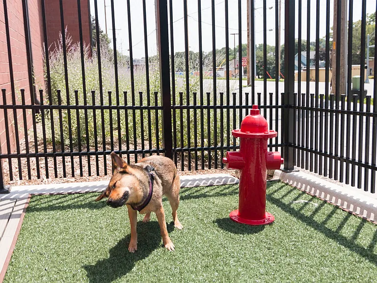 Your four-legged friends can take take a break in our pet area!