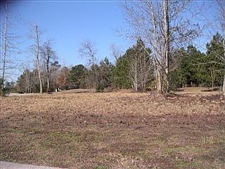 2nd image of 141 E Grandiflora Dr