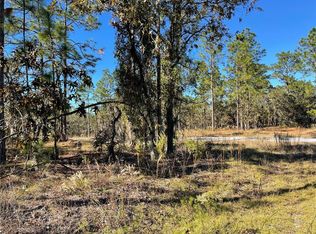 LOT 1 SE 131st Ave LOT 1, Dunnellon, FL 34431