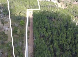 Wild Cur Rd Lot 102, Pierson, FL 32180