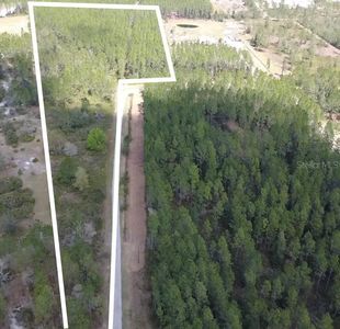 WILD CUR ROAD LOT 0102, Pierson, FL, 32180