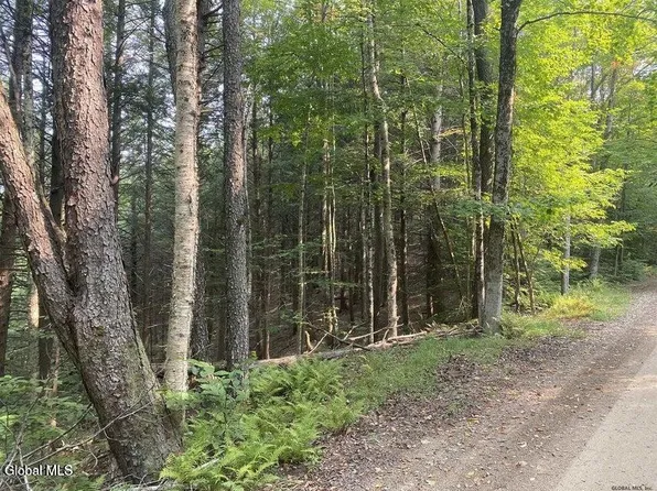 L3 Goat Farm Road, Bleecker, NY 12078