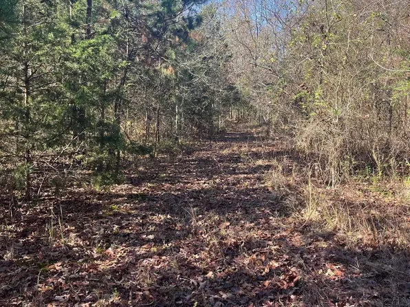 Geyer Dr, Mena, AR 71953