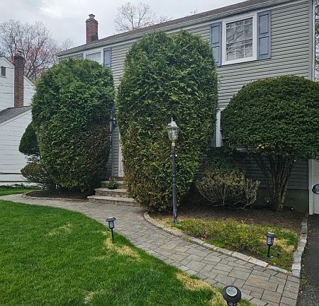 4th image of 27 Longacre Dr