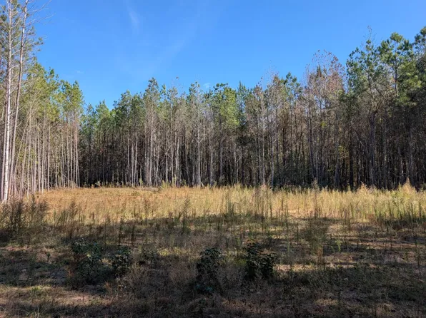 0 County Road 51 #A, Greensboro, AL 36744