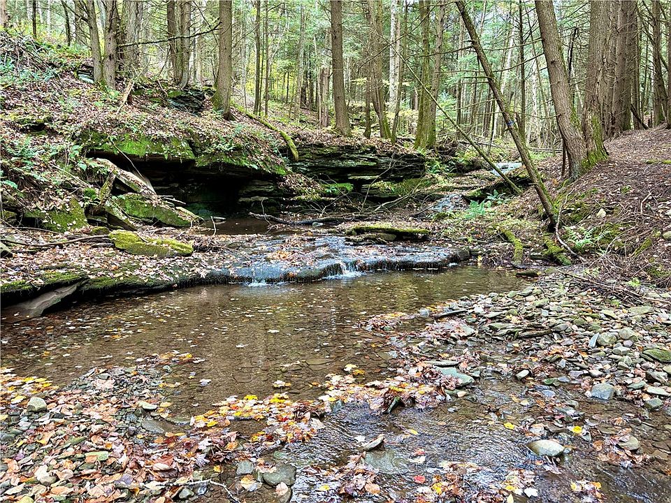 1528 Burt Aikens Rd, Hamden, NY 13782 Zillow