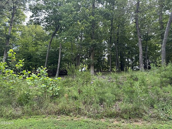 3rd image of 11 Cove Springs Dr Lot 11